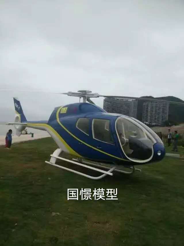 郁南县飞机模型